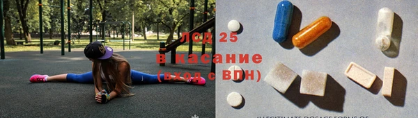 apvp Бородино