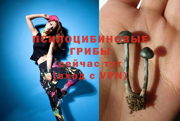 mdma Богданович