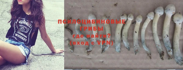 спиды Бронницы
